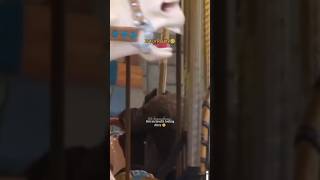 Download lagu Jin was tired & dizzy after going round & rounds on Merry go round 🎠🥺🫂 mp3