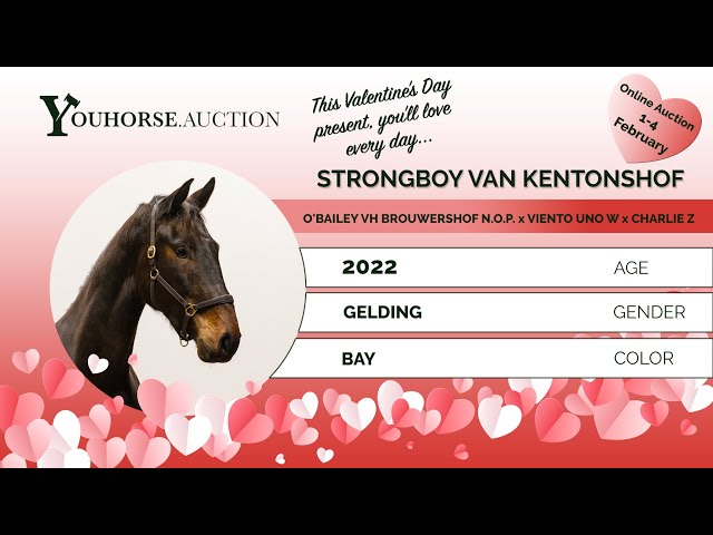 Strongboy v Kentonshof