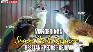 Download lagu MASTERAN TERMEWAH 2025 || BESETAN - CUNGKOK GEREJA TARUNG - TEPUS  || KUNTI MENJERIT PANJANG mp3