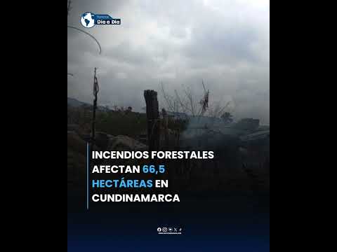 Incendios forestales afectan 66,5 hectáreas en Cundinamarca