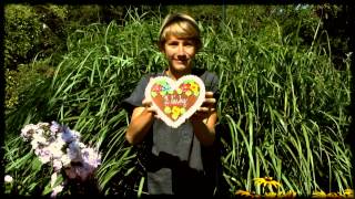 Video Jen Tak - Šumná Plzeň   (Official Music Video 2013)