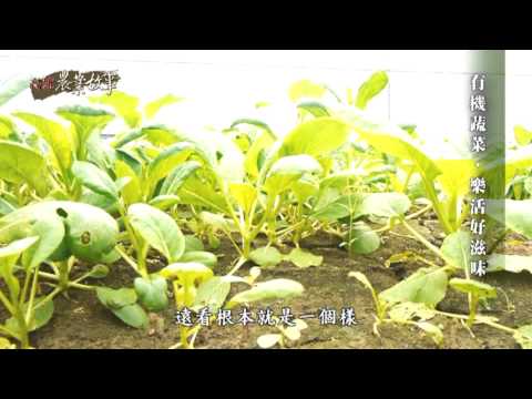 高雄農業故事館 - 蔬菜 國語