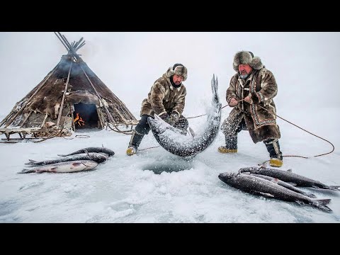 5000kg Ice Fishing Feast in −71°C Yakutia Feeding an Entire Frozen Village Nomad Survival Battle