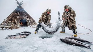 5000kg Ice Fishing Feast in −71°C Yakutia Feeding an Entire Frozen Village Nomad Survival Battle