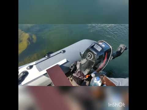 Трофейная щука. Рыбалка на спининг на реке Томь в Кузбассе, Кемеровская обл. город Юрга.