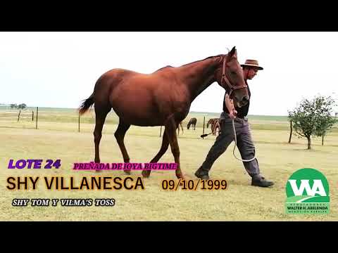 Lote SHY VILLANESCA