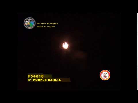 SA100DA03 - 4 INCH SHELL - WIZARD FIREWORKS - PS4018