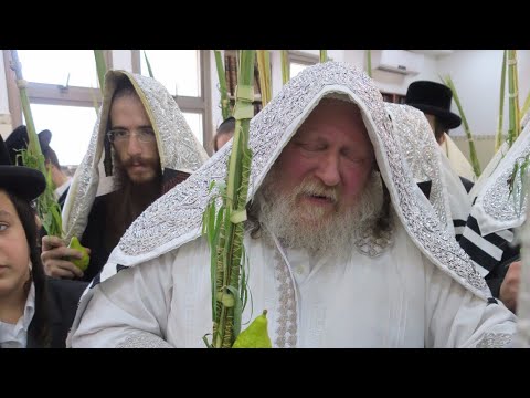 Hoshana Rabbah With Pittsburgher Rebbe - 2017/5778