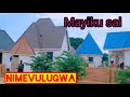 MAYIKU SAYI LIMBU NIMEVULUGWA BY KINI STUDIO 2026