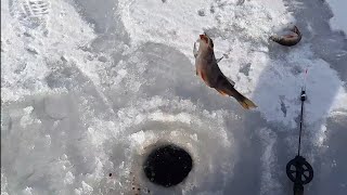 Рыбалка в абрамцево сергиев посад