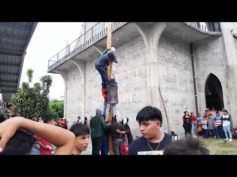 EL PALO ENSEVADO DE SANTA CRUZ ANALQUITO 2 DE MAYO