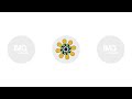 Symmetrical Yellow Flower With Green Petals Blooming Spinning 2D Cartoon Object Animation