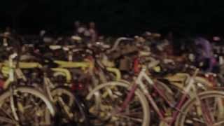 Off The Record: The War On Drugs - Brothers