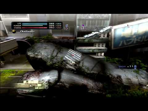 Tokyo Jungle - Survival - Beagle [45 Years 52, 650 Points]