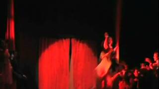 FELLINI E GLI ALTRI CLOWN(2004) di Virginia Viviano