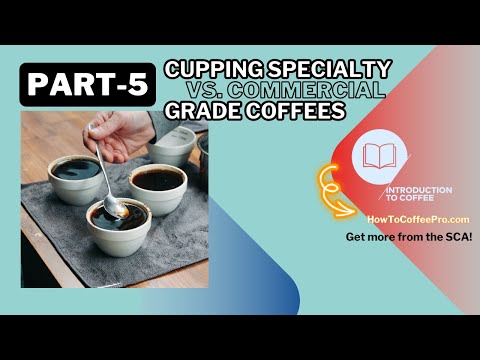 Part 5 - SCA Introduction to Coffee Course_Cupping Specialty vs Commercial Grade Coffee