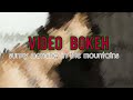 Video Bokeh Full HD Sunny Morning In The Mountains