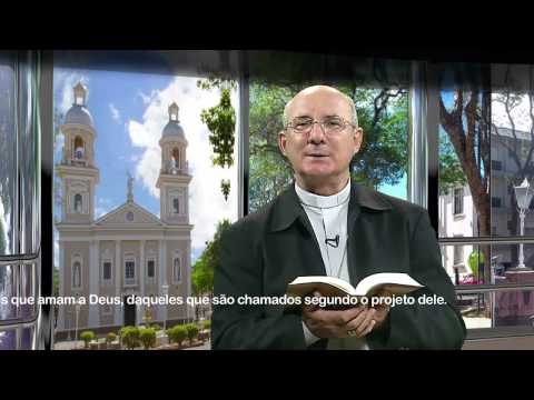 The Divine Word - Romans 8, 28-30 - July 27, 2014