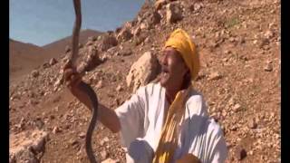 Chasseurs de serpents dans le désert du Maroc | عيساوي