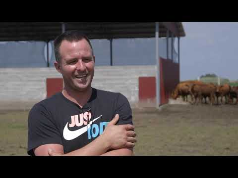 Uzgoj Angus goveda u Backom Gracacu - U nasem ataru 846