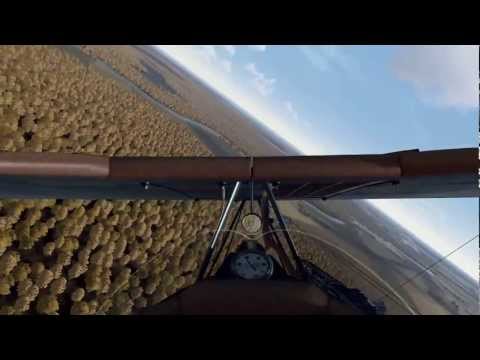 Halberstadt D.II With Aldis