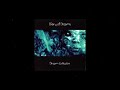 Diary Of Dreams - Now This Is Human (Sub Inglés-Español)