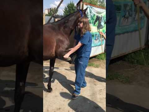 Простреливающая боль в пояснице у женщин причины Грыж в грудном отделах и слабости в руках