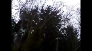 Winter Storm 2012, Northern CA - 60 MPH Gusts