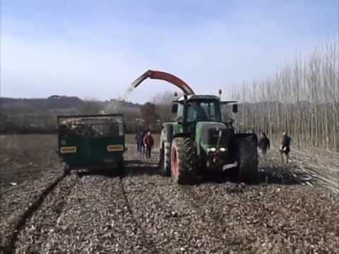 Spapperi s.r.l. - Raccoglitrice Cippatrice RT505 / Harvester Woodchipper RT505