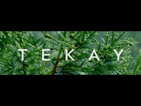 TEKAY - Chill Tech Mix 2025