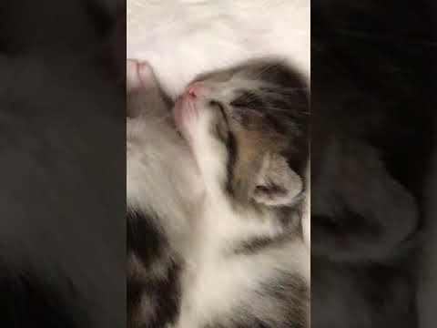 How warm is mother's embrace!！妈妈的怀抱是多么的温暖！Comme l'&eacute;treinte de maman est chaude !