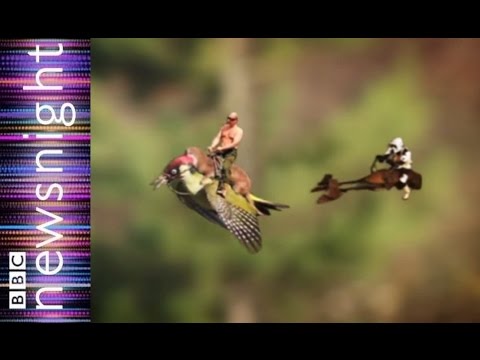 Woodpecker and weasel - a Newsnight spiked playout