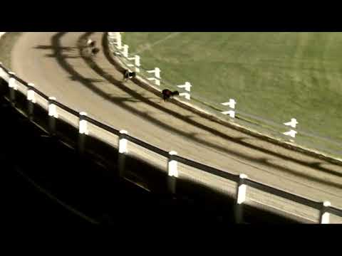 2022.06.16. 10. futam - Kincsem Park Magyar Derby Negyeddöntő V. futam