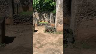 Download lagu A visit to Gedi ruins. Must watch.🔥#tour #explore #exploreafrica #explorer #travel #travelvlog #fyp mp3