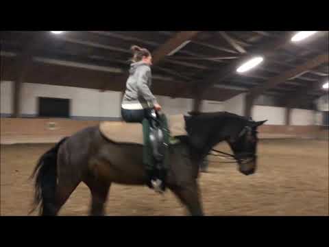 6j Wallach in the Mood, 1. mal Volti