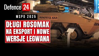 Long Rosomak for export and new versions of Iguana