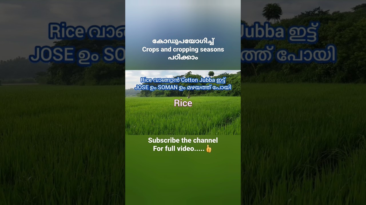 Cropping seasons | Crops | Indian geography | Basic facts | Codes | Basic GK