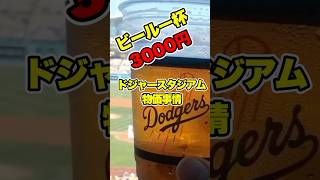 【ビール一杯3000円！】ドジャースタジアム物価事情　#dodgers #ドジャース #大谷翔平 #佐々木朗希 #ohtani #rokisasaki #shoheiohtani