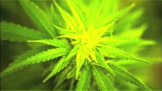 Can&#39;t Shake the Feeling that I&#39;m Stoned - Brian LP ft. Krissy