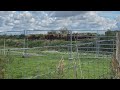 Nukkige Schotse hooglanders willen niet wijken voor woningen