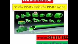 ท่อ PPR ท่อประปาน้ำร้อน ท่อน้ำเย็นพีพีอาร์