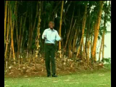 download lagu mp3 mp4 Dogo A Ubunebwe, download lagu Dogo A Ubunebwe gratis, unduh video klip Dogo A Ubunebwe