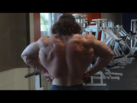 Fall Cut Day 20 - Back