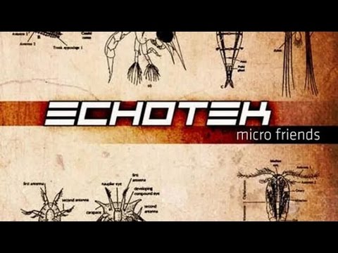 Echotek - Motion