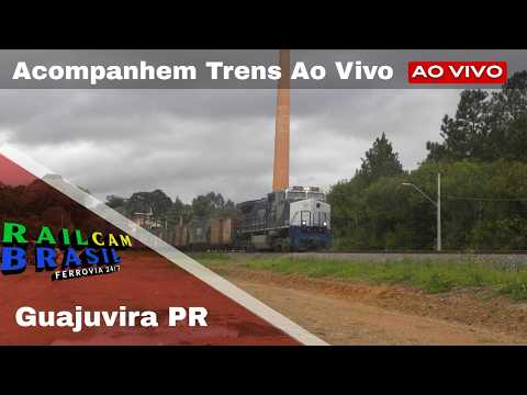 TRENS AO VIVO ARAUCÁRIA, GUAJUVIRA, PR