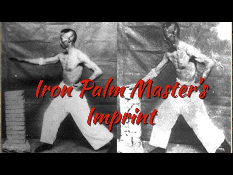 Iron Palm Master's Imprint on the 10,000 Victories Tai Chi