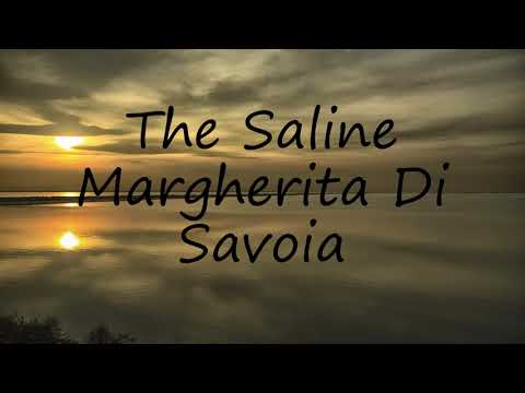 How to say The Saline Margherita Di Savoia in English?