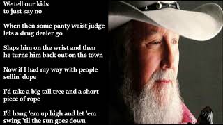 The Charlie Daniels Band - Simple Man LYRICS