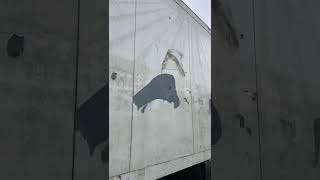 العربات نصف المقطورة شاحنة التبريد Schmitz Cargobull Carrier Vector 1850/, 260 height, , Multi Dual SAF Drum 70 % tyr | صورة 4 - Autoline