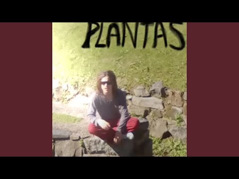 Plantas - Mauri Gonzalez